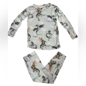Posh Peanut pajama set in size 2T. Soft material with cute dragon designs.